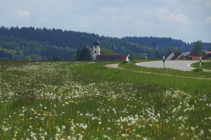 Blick auf Maselheim